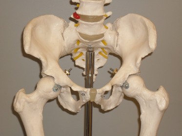 Injuries to the Pelvis - After Trauma